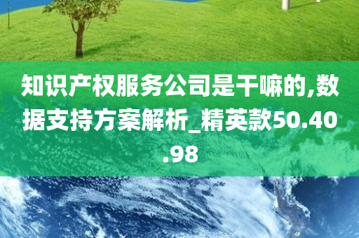 知识产权服务公司是干嘛的,数据支持方案解析_精英款50.40.98