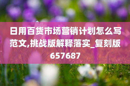 日用百货市场营销计划怎么写范文,挑战版解释落实_复刻版657687