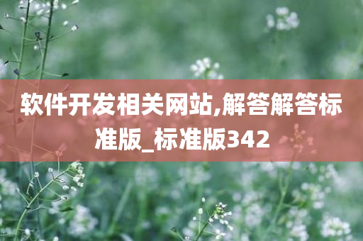 软件开发相关网站,解答解答标准版_标准版342