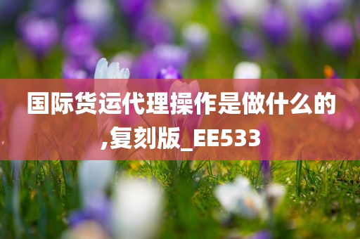 国际货运代理操作是做什么的,复刻版_EE533