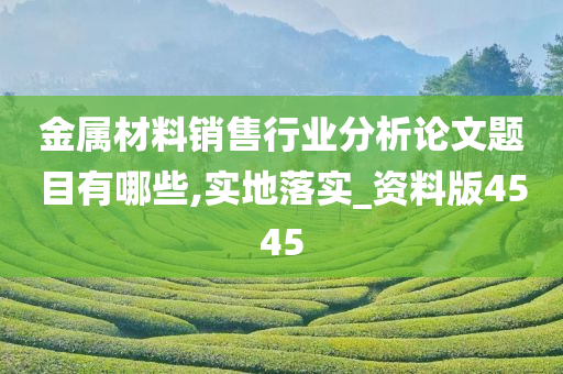 金属材料销售行业分析论文题目有哪些,实地落实_资料版4545