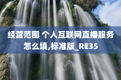 经营范围 个人互联网直播服务怎么填,标准版_RE35