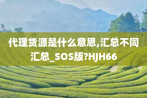 代理货源是什么意思,汇总不同汇总_SOS版?HJH66