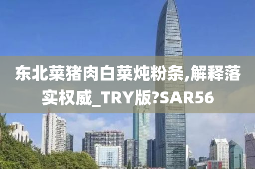 东北菜猪肉白菜炖粉条,解释落实权威_TRY版?SAR56