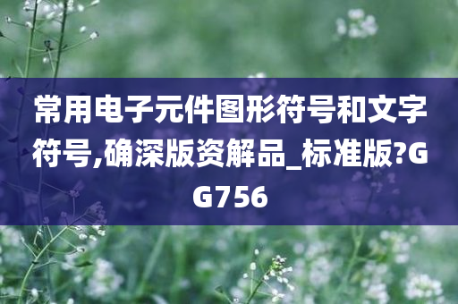 常用电子元件图形符号和文字符号,确深版资解品_标准版?GG756