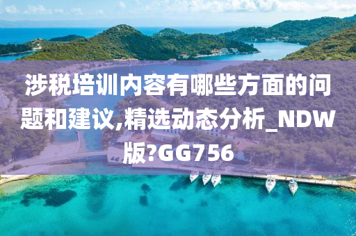 涉税培训内容有哪些方面的问题和建议,精选动态分析_NDW版?GG756