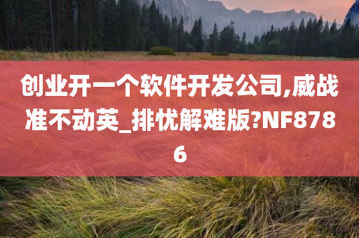 创业开一个软件开发公司,威战准不动英_排忧解难版?NF8786