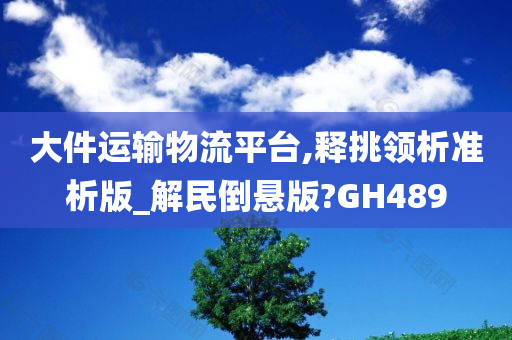 大件运输物流平台,释挑领析准析版_解民倒悬版?GH489