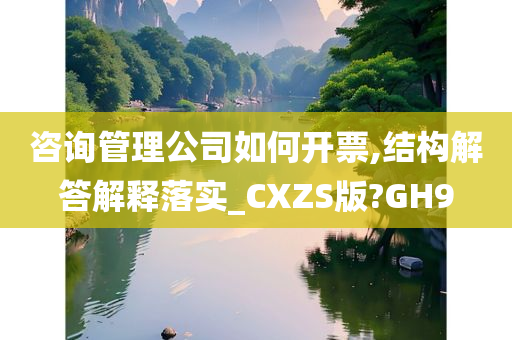 咨询管理公司如何开票,结构解答解释落实_CXZS版?GH9