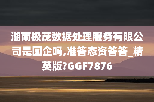 湖南极茂数据处理服务有限公司是国企吗,准答态资答答_精英版?GGF7876