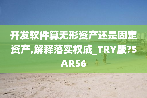 开发软件算无形资产还是固定资产,解释落实权威_TRY版?SAR56