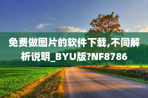 免费做图片的软件下载,不同解析说明_BYU版?NF8786