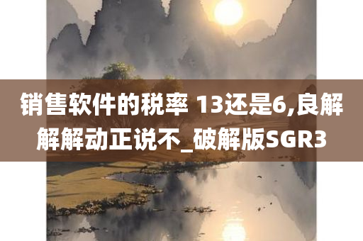 销售软件的税率 13还是6,良解解解动正说不_破解版SGR3