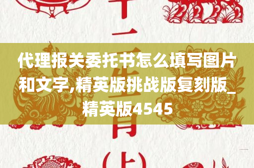 代理报关委托书怎么填写图片和文字,精英版挑战版复刻版_精英版4545