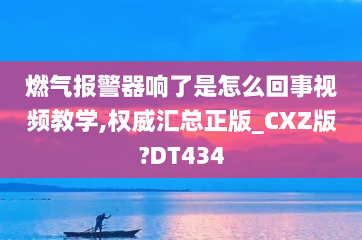 燃气报警器响了是怎么回事视频教学,权威汇总正版_CXZ版?DT434