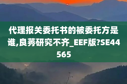 代理报关委托书的被委托方是谁,良莠研究不齐_EEF版?SE44565