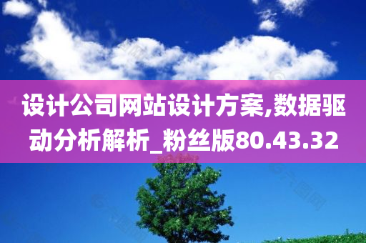 设计公司网站设计方案,数据驱动分析解析_粉丝版80.43.32