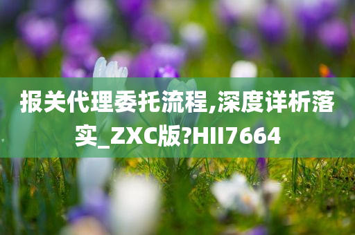 报关代理委托流程,深度详析落实_ZXC版?HII7664