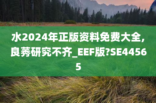 水2024年正版资料免费大全,良莠研究不齐_EEF版?SE44565