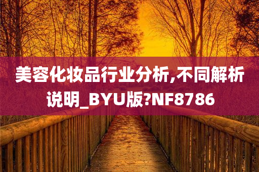 美容化妆品行业分析,不同解析说明_BYU版?NF8786