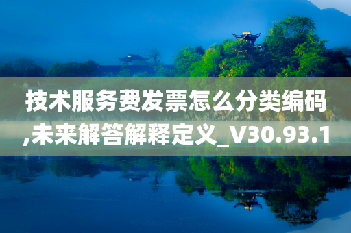 技术服务费发票怎么分类编码,未来解答解释定义_V30.93.10