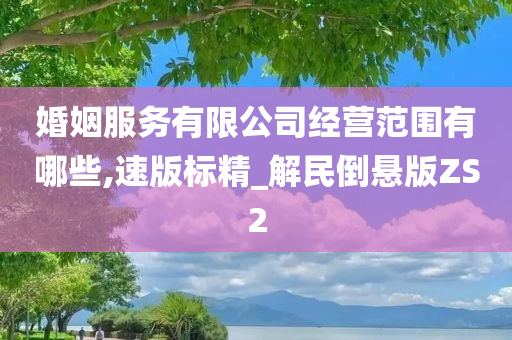 婚姻服务有限公司经营范围有哪些,速版标精_解民倒悬版ZS2