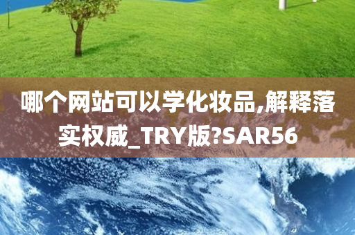 哪个网站可以学化妆品,解释落实权威_TRY版?SAR56