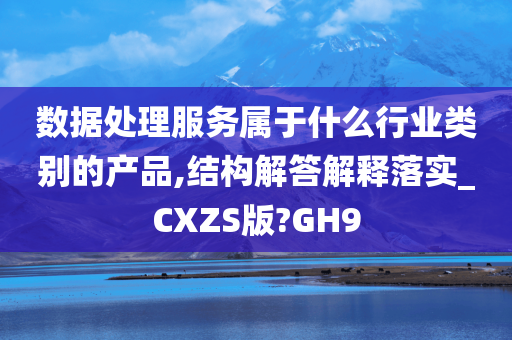 数据处理服务属于什么行业类别的产品,结构解答解释落实_CXZS版?GH9