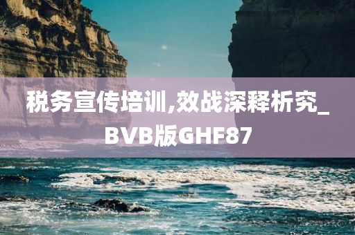 税务宣传培训,效战深释析究_BVB版GHF87