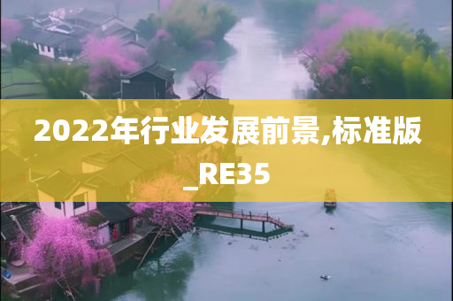 2022年行业发展前景,标准版_RE35