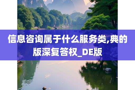 信息咨询属于什么服务类,典的版深复答权_DE版