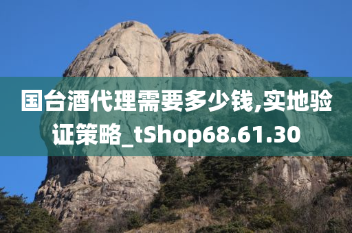 国台酒代理需要多少钱,实地验证策略_tShop68.61.30