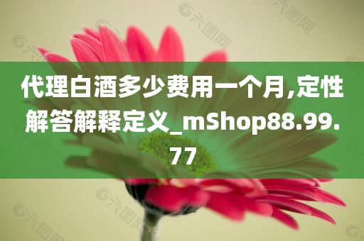 代理白酒多少费用一个月,定性解答解释定义_mShop88.99.77