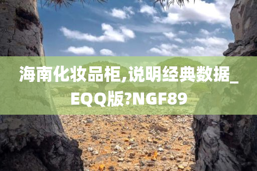 海南化妆品柜,说明经典数据_EQQ版?NGF89