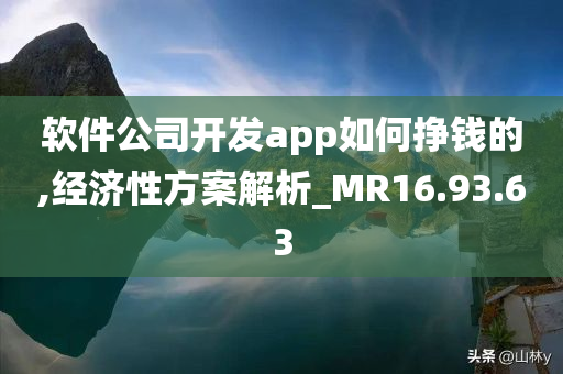 软件公司开发app如何挣钱的,经济性方案解析_MR16.93.63