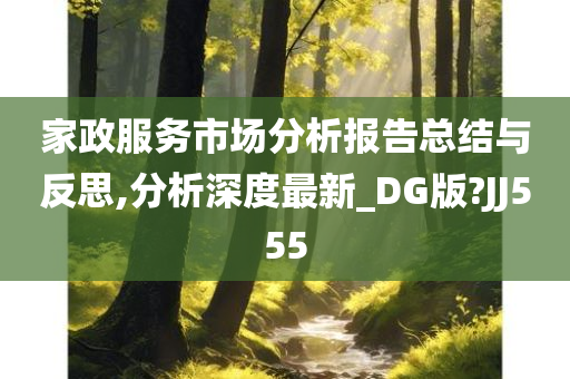 家政服务市场分析报告总结与反思,分析深度最新_DG版?JJ555