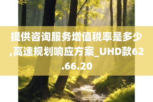 提供咨询服务增值税率是多少,高速规划响应方案_UHD款62.66.20