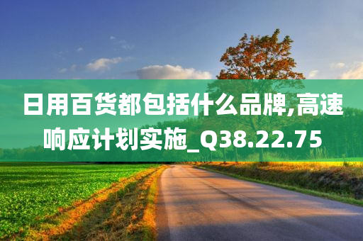 日用百货都包括什么品牌,高速响应计划实施_Q38.22.75