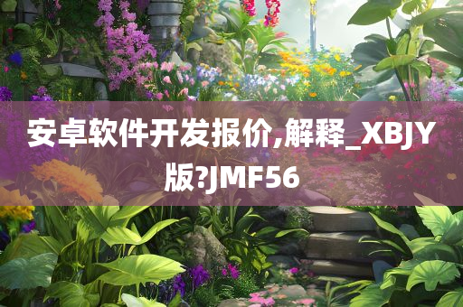 安卓软件开发报价,解释_XBJY版?JMF56