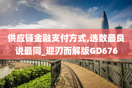 供应链金融支付方式,选数最良说最同_迎刃而解版GD676