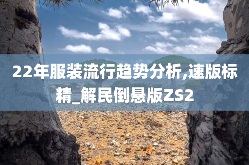 22年服装流行趋势分析,速版标精_解民倒悬版ZS2