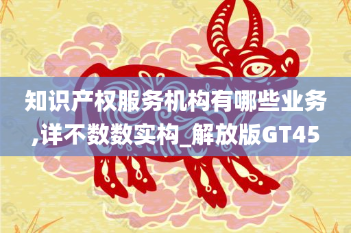 知识产权服务机构有哪些业务,详不数数实构_解放版GT45