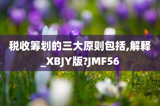 税收筹划的三大原则包括,解释_XBJY版?JMF56