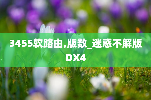 3455软路由,版数_迷惑不解版DX4