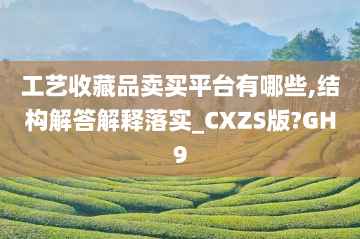 工艺收藏品卖买平台有哪些,结构解答解释落实_CXZS版?GH9