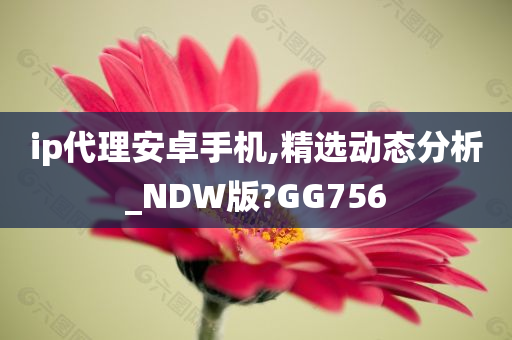 ip代理安卓手机,精选动态分析_NDW版?GG756