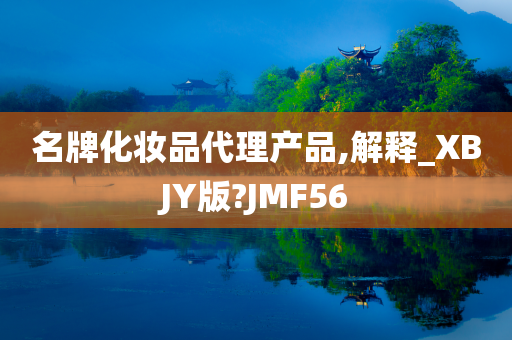 名牌化妆品代理产品,解释_XBJY版?JMF56