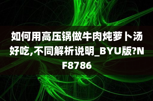 如何用高压锅做牛肉炖萝卜汤好吃,不同解析说明_BYU版?NF8786