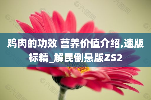 鸡肉的功效 营养价值介绍,速版标精_解民倒悬版ZS2