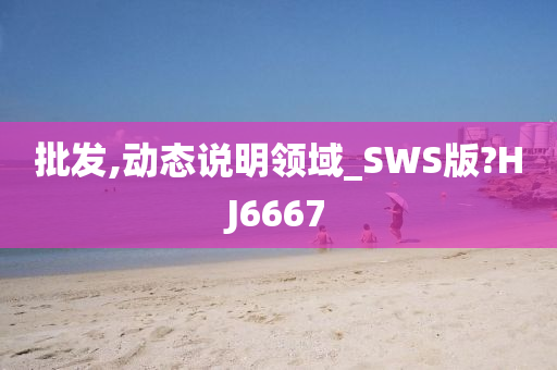 批发,动态说明领域_SWS版?HJ6667